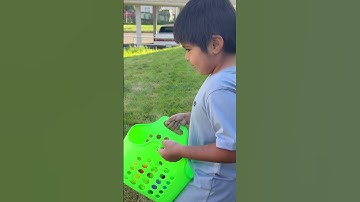 Dakota hunting for Easter eggs. Part 3 #happyeaster2025