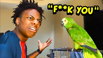 iShowSpeed Buys A Pet PARROT.. (bad idea)