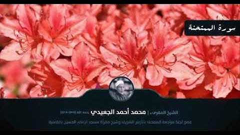 سورة الممتحنة || الشيخ المقرئ محمد أحمد الجعيدي رحمه الله