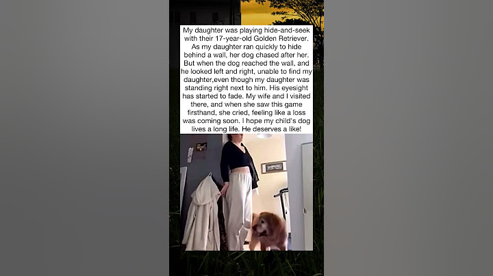 A woman playing hide and seek with her 17 years old dog