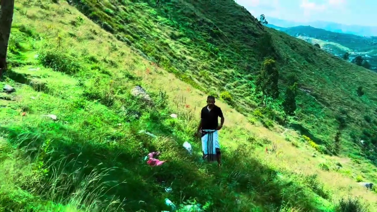 ياريح ياريح  يالي تدخلي للبيوت اجمل اغاني الفنان ايوب طارش حالات واتساب