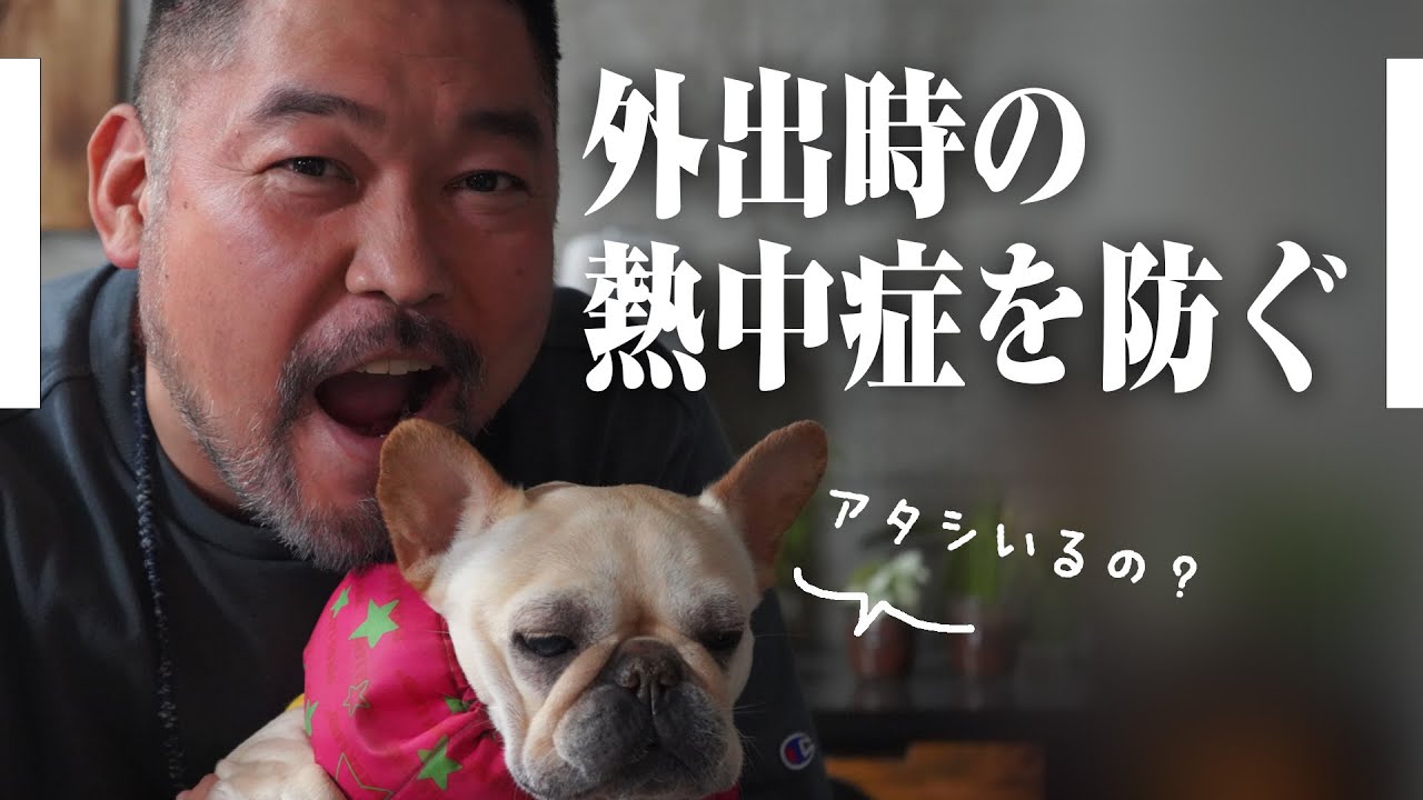 100円素材で熱中症対策 裁縫経験0でも作れる犬用クールネック Youtube 100円素材で熱中症対策 裁縫経験0でも作れる犬用クールネック Youtube