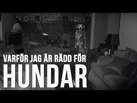 Video: Vad är Du Rädd För, Hund?