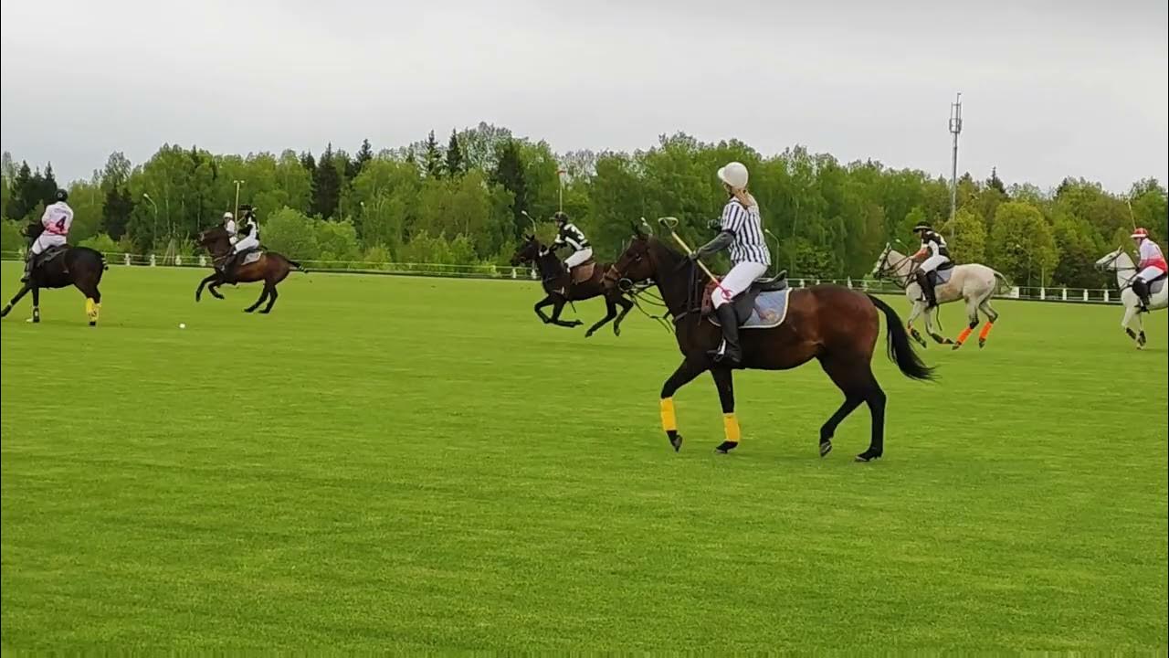 Московский поло клуб Целеево
