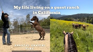 My Life Living on a Guest Ranch