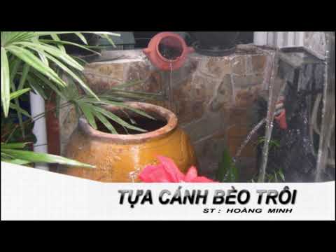 Tựa cánh bèo trôi karaoke song ca