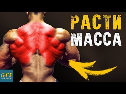 Как Накачать Массивную Спину (С БОЛЬШИМИ ВЕСАМИ)