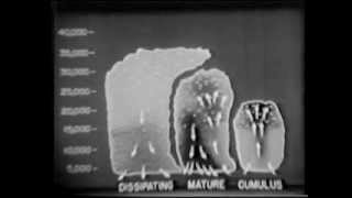 Meteorology (Thunderstorms): Part 1 - U.S. Navy Aviation Training Film (1953)