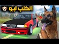 محاكي الواقعيه كلب جديد اسمه ليو 