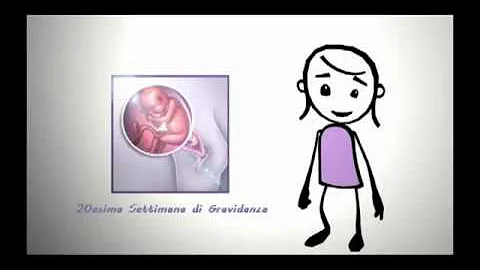 Quanto deve pesare il feto a 20 settimane?