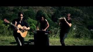 Video thumbnail of "PLANTEC // CELTIC MUSIC : Speedwell (OFFICIAL VIDEO)"