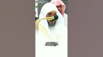 تلاوة باكية من ليلة 6#رمضان #قطوف_رمضانية للشيخ د. #ماهر_المعيقلي #ابداع