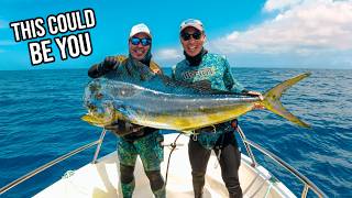 This Might Be The Ultimate Spearfishing Destination