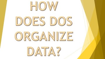 HOW DOES DOS ORGANIZE DATA | Computer Matric 9th Chapter 7 | Urdu | Enhance Skills