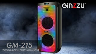 Обзор на музыкальную Midi систему от GINZZU. Model: GM-215. Color Party NEW!!!