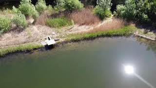 Schernikau 20 05 2020