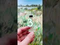 Октябрьский пейзаж