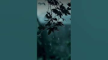 Thumbnail of saiyaara Female version| Saiyaara whatsapp status