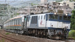 【甲種輸送】 EF64-1011+京成3100形8両 湯河原～真鶴通過