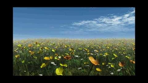 Running Horse Animation In Vue Pro from CRLDesigns.net