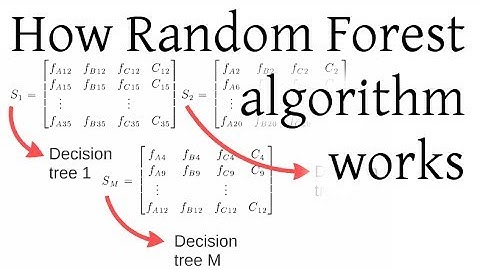 How Random Forest algorithm works