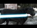 Dog wars  the bark side of the force
