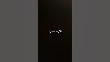 تلاوة عطرة #القرآن_الكريم #راحة_نفسية #صلوا_على_النبي