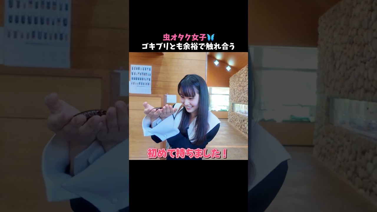 ひよりはゴキブリも好き！世界最重量のゴキブリと触れ合う！