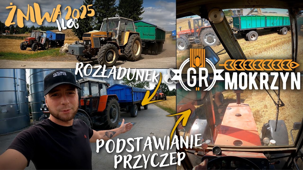 ROZŁADUNEK ZBOŻA & ROZSTAWIANIE PRZYCZEP NA POLU 🔥 ŻNIWA 2025 w GR MOKRZYN 🌾 TRANSPORT NA BAZE