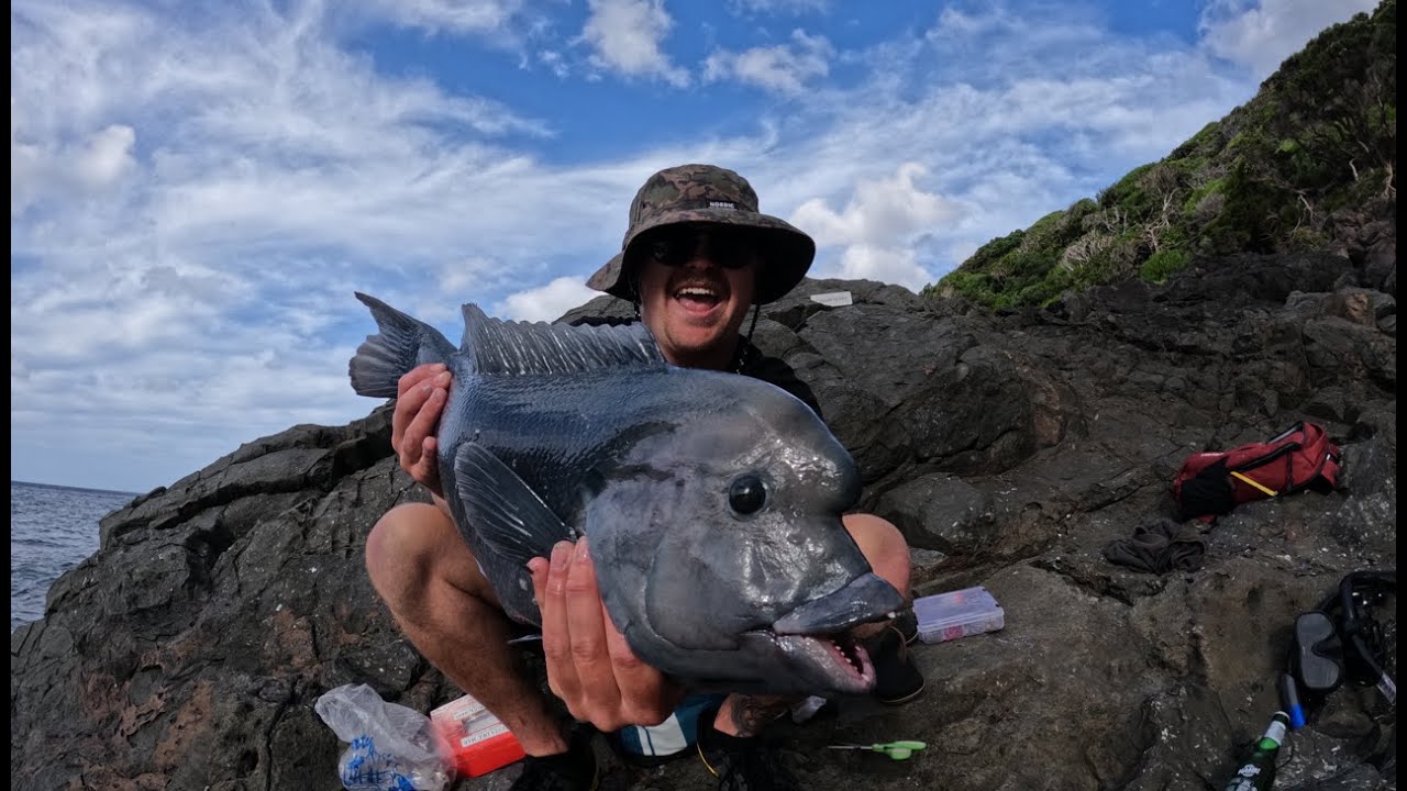 Fishing LORD HOWE ISLAND! Caught My Dream Fish! YouTube