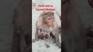 First Aid to Injured Mother 🙏😮❤️#shorts #mother