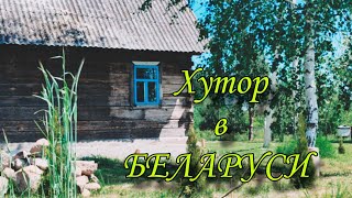 ХУТОР в БЕЛАРУСИ. ЧЕРЕНКУЮ ТУИ.