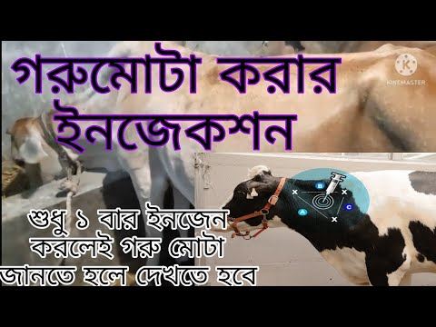 ভিডিও: পশু বিলুপ্তি রোধে অংশ নেওয়ার 3 টি উপায়