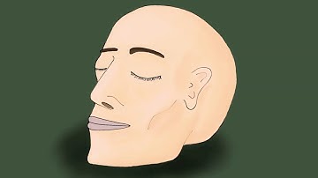 The End | RoughAnimator | Amateur animation