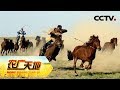 《农广天地》 20180130 蒙古马 | CCTV农业