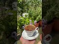 فيروز صباح الخير جديتا اكسبلور تعليق حديقتي تصويري عمر الزيوت فيروز صباح الخير جديتا اكسبلور تعليق حديقتي تصويري عمر الزيوت