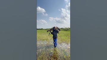 Proses evakuasi burung belibis #fypyoutube #tekukurliar #mancing #hunting #fishing #trending #nature