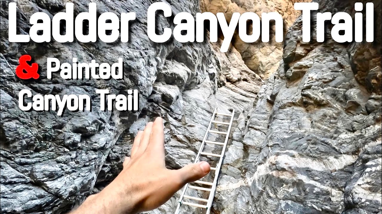 Hiking Ladder Canyon Trail & Painted Canyon loop! Mecca Hills CA, Husqvarna Svartpilen 401! 4K