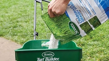 Top 5 Best Crabgrass killers in 2023 [Review] - For All Budgets