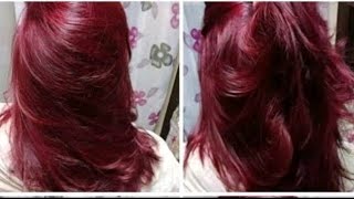 صباغة طبيعية للشعر بلون احمر اكاجو بدون كيماويات لون تحفة تابت جدامن اول استعمالburgundy hair colour