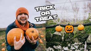 PUMPKIN-PICKING IN SCOTLAND! | HALLOWEEN SPECIAL