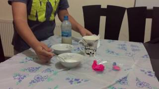 IMG 8229