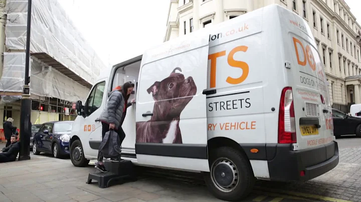 Dogs on The Streets, London