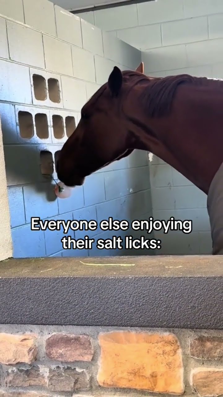 Dave so relatable just having it all natural