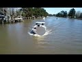 📌 Flamingo 850 Nissan 98 HP Navegando por el Delta en Argentina 👉 en borello.com.ar