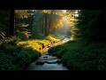 Relaxing Waterfalls  Ambient Music for Inspiration and Peace
