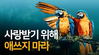 자신을 사랑하는 것 이상으로 타인을 사랑할 수 없다 | 나는 나와 다투지 않습니다