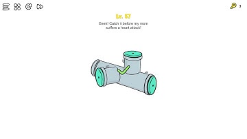 Brain Test   Lv57   Eek! Catch it before my mom suffers a heart attack!