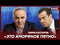 Каспаров: У Медведева был только один избиратель – мы все знаем его фамилию