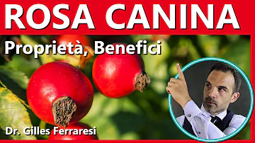 Chi è Rosa Luxemburg?